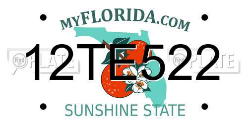 12TE522 Florida License Plate