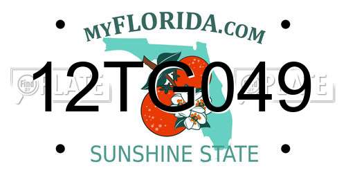 12TG049 Florida License Plate