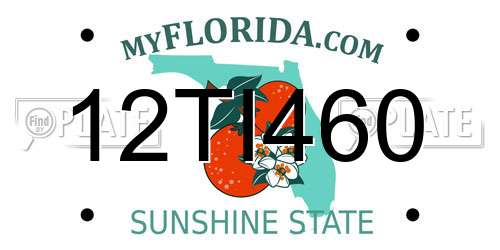 12TI460 Florida License Plate
