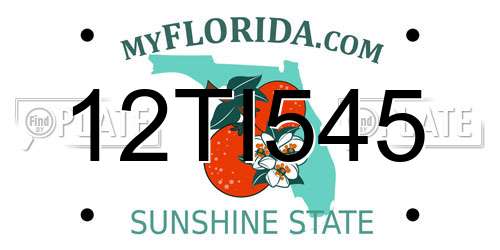 12TI545 Florida License Plate
