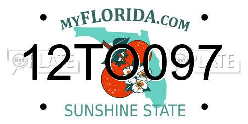 12TO097 Florida License Plate