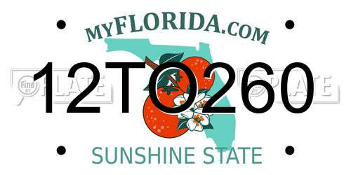 12TO260 Florida License Plate