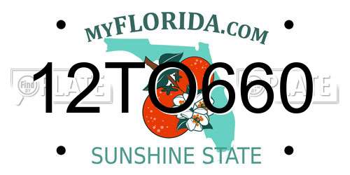 12TO660 Florida License Plate