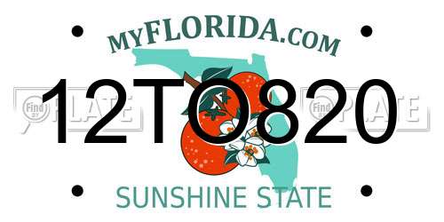12TO820 Florida License Plate