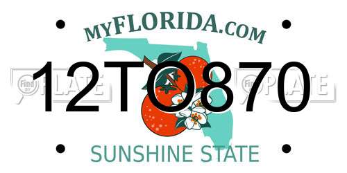 12TO870 Florida License Plate