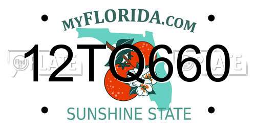 12TQ660 Florida License Plate