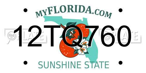 12TQ760 Florida License Plate