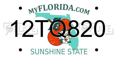 12TQ820 Florida License Plate