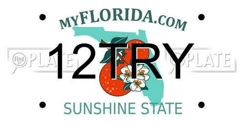 12TRY Florida License Plate