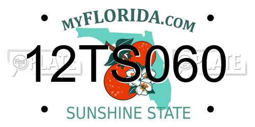 12TS060 Florida License Plate