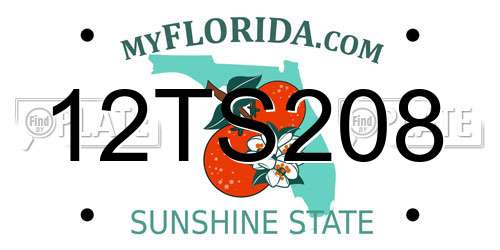 12TS208 Florida License Plate