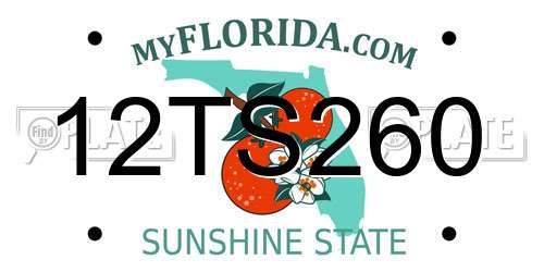 12TS260 Florida License Plate