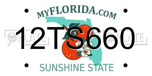 12TS660 Florida License Plate