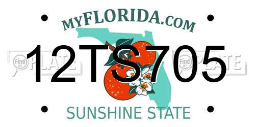 12TS705 Florida License Plate
