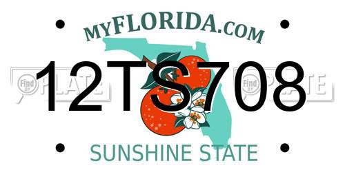 12TS708 Florida License Plate