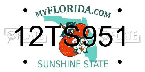 12TS951 Florida License Plate