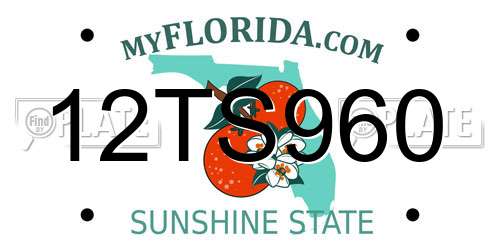 12TS960 Florida License Plate