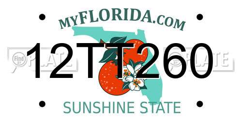 12TT260 Florida License Plate