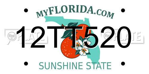 12TT520 Florida License Plate