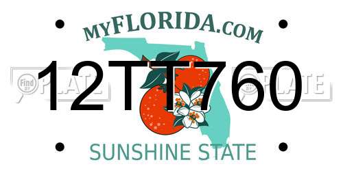 12TT760 Florida License Plate
