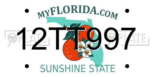 12TT997 Florida License Plate