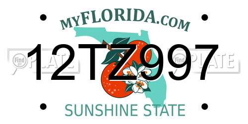 12TZ997 Florida License Plate