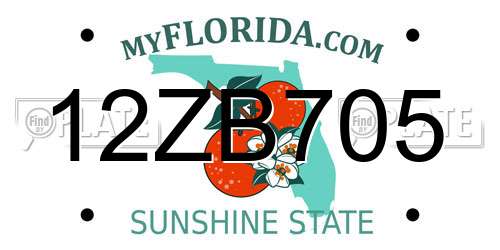 12ZB705 Florida License Plate