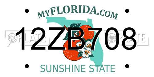 12ZB708 Florida License Plate