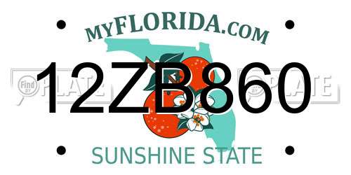 12ZB860 Florida License Plate