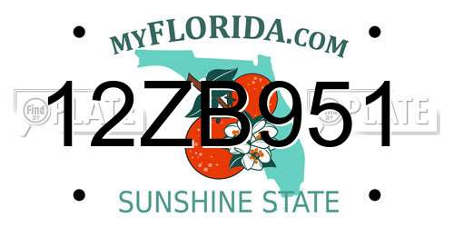 12ZB951 Florida License Plate