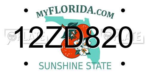 12ZD820 Florida License Plate