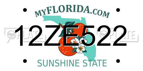 12ZE522 Florida License Plate