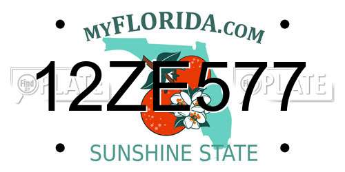 12ZE577 Florida License Plate