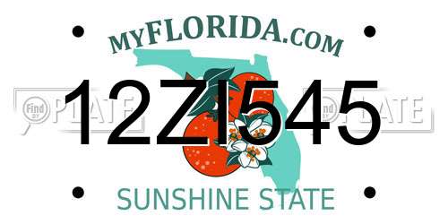 12ZI545 Florida License Plate