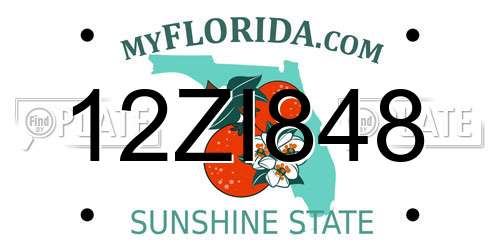 12ZI848 Florida License Plate