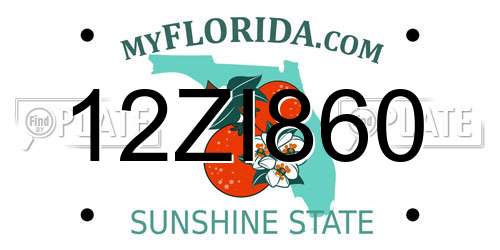 12ZI860 Florida License Plate