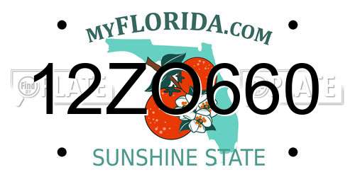 12ZO660 Florida License Plate