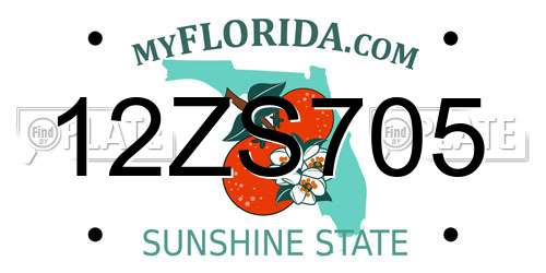 12ZS705 Florida License Plate