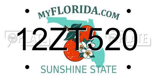 12ZT520 Florida License Plate