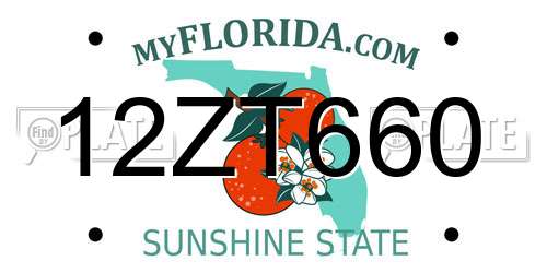 12ZT660 Florida License Plate