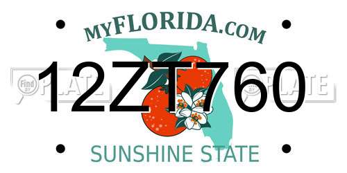 12ZT760 Florida License Plate