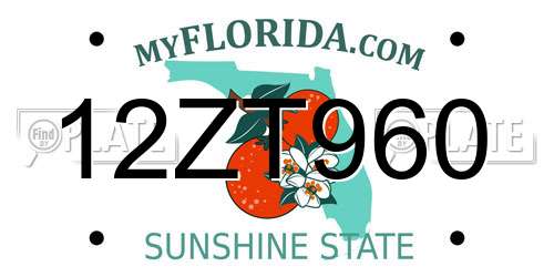 12ZT960 Florida License Plate