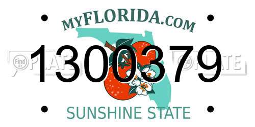 1300379 Florida License Plate