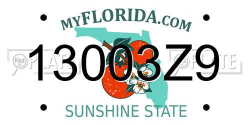 13003Z9 Florida License Plate
