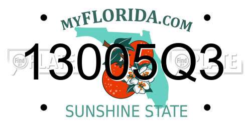 13005Q3 Florida License Plate