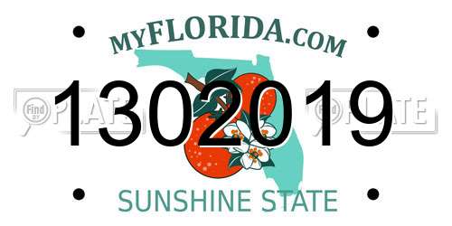 1302019 Florida License Plate