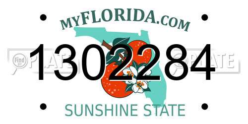 1302284 Florida License Plate