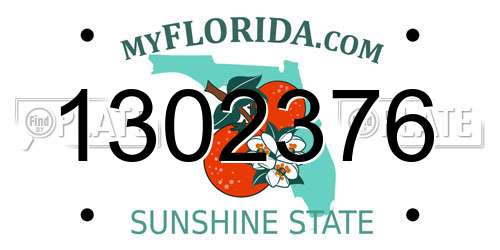1302376 Florida License Plate