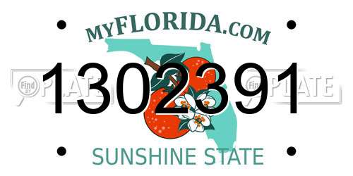 1302391 Florida License Plate