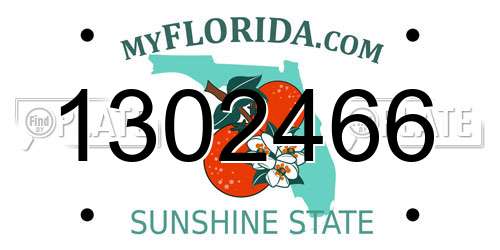 1302466 Florida License Plate